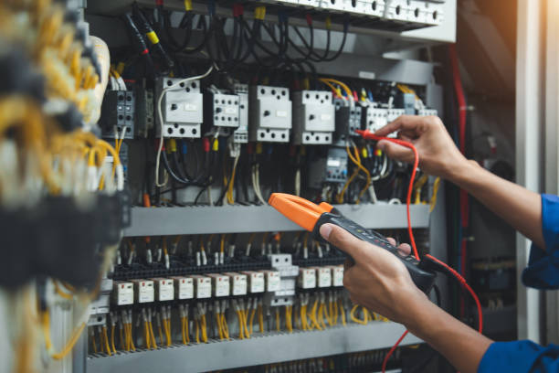 Best Electric Panel Repair  in Eunice, NM